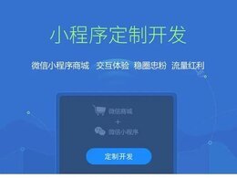 app是啥意思代表什么
